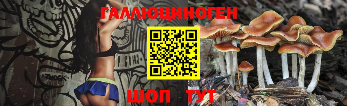 купить  цена  Вход с VPN  Горячий Ключ  Галлюциногенные грибы Magic Shrooms 